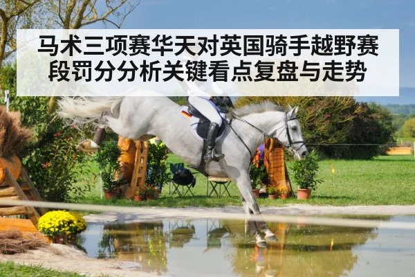 马术三项赛华天对英国骑手越野赛段罚分分析关键看点复盘与走势